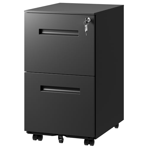 DEVAISE 2-Drawer Metal File Cabinet