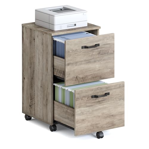 VASAGLE 2-Drawer File Cabinet (Heather Greige)
